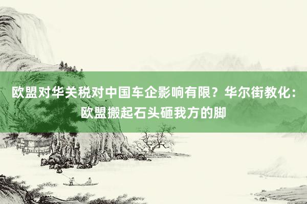 欧盟对华关税对中国车企影响有限？华尔街教化：欧盟搬起石头砸我方的脚