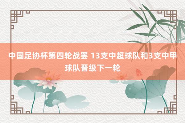 中国足协杯第四轮战罢 13支中超球队和3支中甲球队晋级下一轮