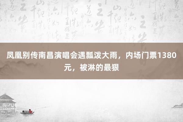 凤凰别传南昌演唱会遇瓢泼大雨，内场门票1380元，被淋的最狠