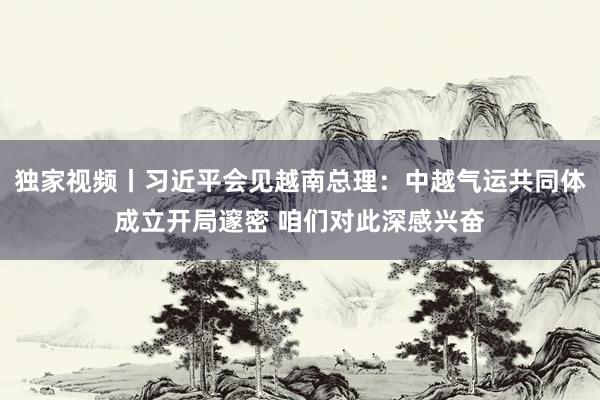 独家视频丨习近平会见越南总理：中越气运共同体成立开局邃密 咱们对此深感兴奋