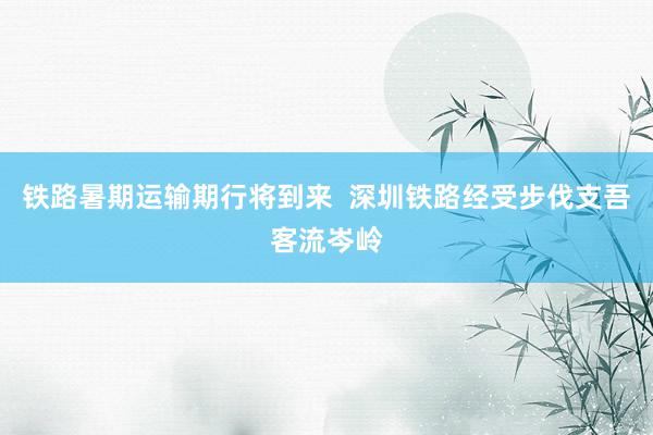 铁路暑期运输期行将到来  深圳铁路经受步伐支吾客流岑岭