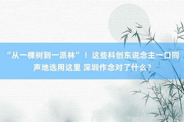 “从一棵树到一派林” ！这些科创东说念主一口同声地选用这里 深圳作念对了什么？