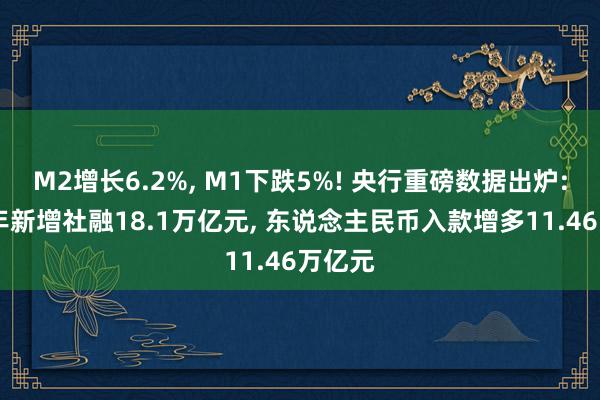 M2增长6.2%, M1下跌5%! 央行重磅数据出炉: 上半年新增社融18.1万亿元, 东说念主民币入款增多11.46万亿元