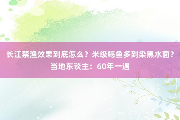 长江禁渔效果到底怎么？米级鳡鱼多到染黑水面？当地东谈主：60年一遇