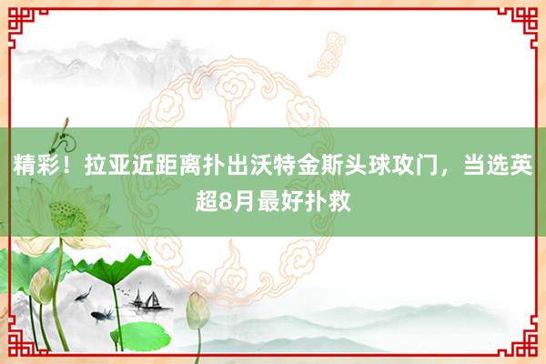 精彩！拉亚近距离扑出沃特金斯头球攻门，当选英超8月最好扑救