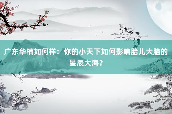 广东华楠如何样：你的小天下如何影响胎儿大脑的星辰大海？