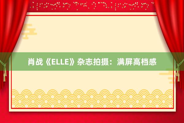 肖战《ELLE》杂志拍摄：满屏高档感