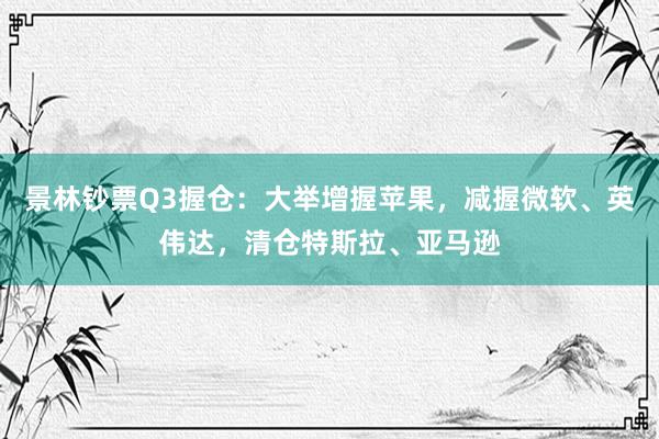 景林钞票Q3握仓：大举增握苹果，减握微软、英伟达，清仓特斯拉、亚马逊