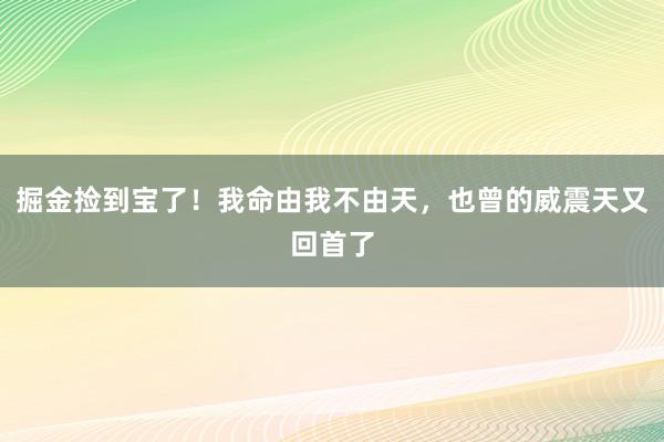 掘金捡到宝了！我命由我不由天，也曾的威震天又回首了