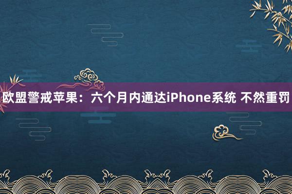 欧盟警戒苹果：六个月内通达iPhone系统 不然重罚