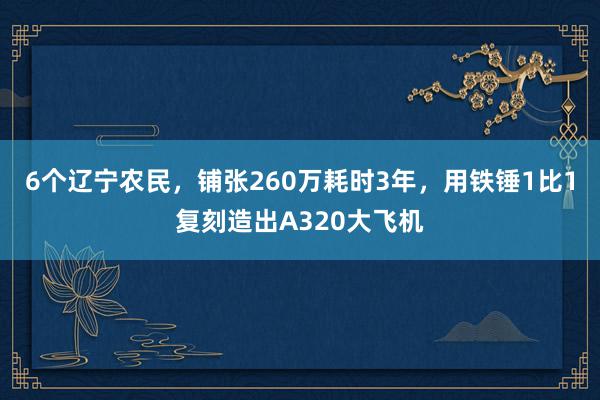 6个辽宁农民，铺张260万耗时3年，用铁锤1比1复刻造出A320大飞机