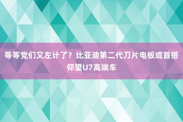 等等党们又左计了？比亚迪第二代刀片电板或首搭仰望U7高端车